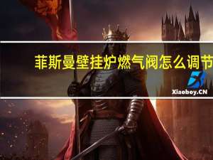 菲斯曼壁挂炉燃气阀怎么调节