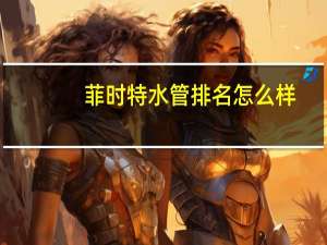 菲时特水管排名怎么样