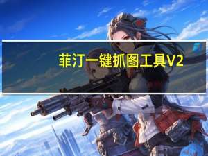 菲汀一键抓图工具 V2.1.1 绿色免费版（菲汀一键抓图工具 V2.1.1 绿色免费版功能简介）