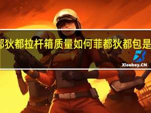 菲都狄都拉杆箱质量如何 菲都狄都包是什么档次