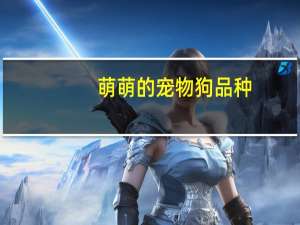 萌萌的宠物狗品种