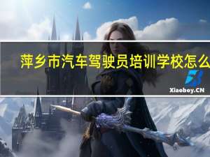 萍乡市汽车驾驶员培训学校怎么样