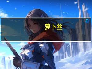萝卜丝（关于萝卜丝的介绍）