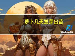 萝卜几天发芽出苗