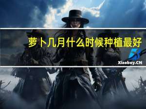 萝卜几月什么时候种植最好