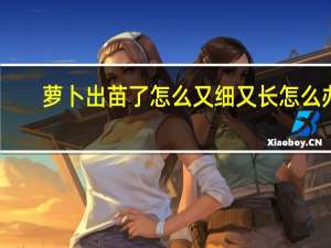 萝卜出苗了怎么又细又长怎么办