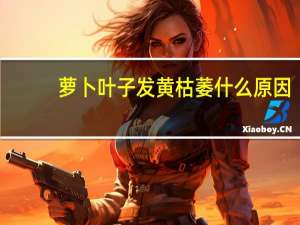 萝卜叶子发黄枯萎什么原因