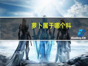 萝卜属于哪个科