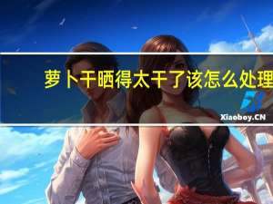 萝卜干晒得太干了该怎么处理