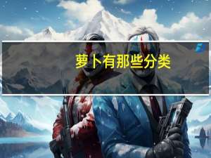 萝卜有那些分类