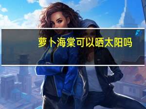 萝卜海棠可以晒太阳吗