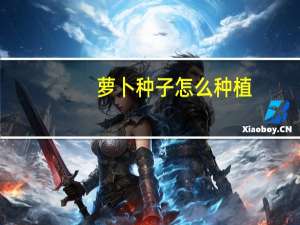 萝卜种子怎么种植