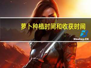 萝卜种植时间和收获时间