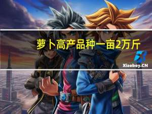 萝卜高产品种一亩2万斤