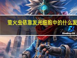 萤火虫依靠发光细胞中的什么发光