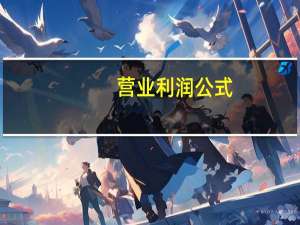 营业利润公式（利润公司）