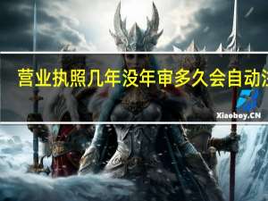 营业执照几年没年审多久会自动注销