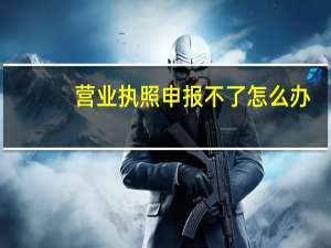 营业执照申报不了怎么办