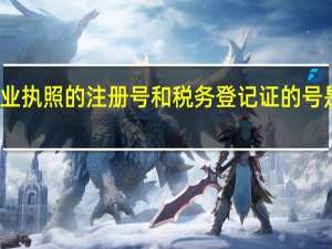 营业执照的注册号和税务登记证的号是一样吗