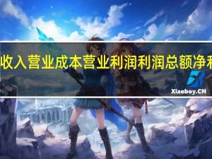 营业收入营业成本营业利润利润总额净利润的计算
