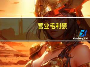 营业毛利额（营业毛利）