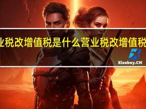 营业税改增值税是什么 营业税改增值税是哪一年