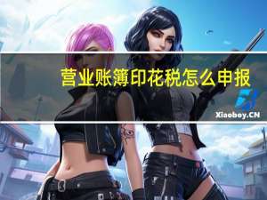 营业账簿印花税怎么申报