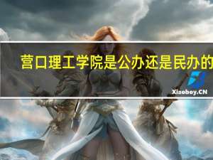 营口理工学院是公办还是民办的呢