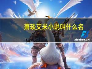 萧琰艾米小说叫什么名