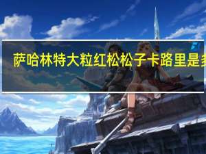 萨哈林 特大粒红松松子卡路里是多少