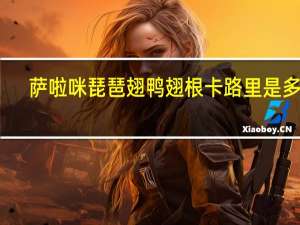 萨啦咪 琵琶翅鸭翅根卡路里是多少
