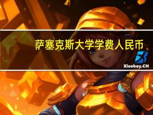 萨塞克斯大学学费人民币