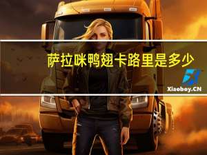萨拉咪 鸭翅卡路里是多少