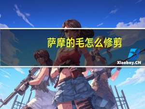 萨摩的毛怎么修剪