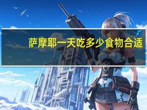 萨摩耶一天吃多少食物合适