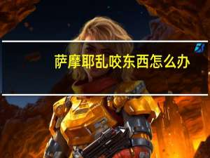 萨摩耶乱咬东西怎么办