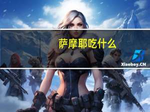 萨摩耶吃什么