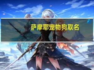 萨摩耶宠物狗取名