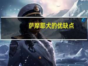 萨摩耶犬的优缺点（samoye）