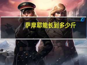 萨摩耶能长到多少斤