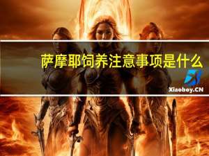 萨摩耶饲养注意事项是什么