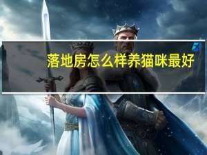 落地房怎么样养猫咪最好