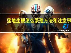 落地生根怎么繁殖方法和注意事项