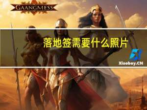 落地签需要什么照片（落地签需要什么材料）