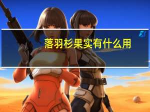 落羽杉果实有什么用