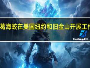 葛海蛟在美国纽约和旧金山开展工作调研