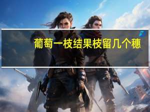 葡萄一枝结果枝留几个穗