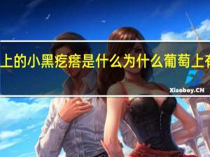 葡萄上的小黑疙瘩是什么 为什么葡萄上有小黑疙瘩