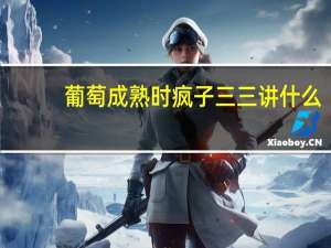 葡萄成熟时疯子三三讲什么（葡萄成熟时疯子三三）