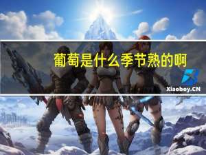 葡萄是什么季节熟的啊